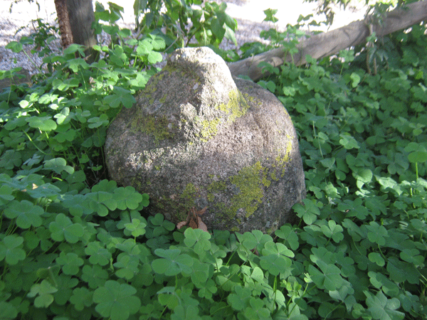 cippo etrusco